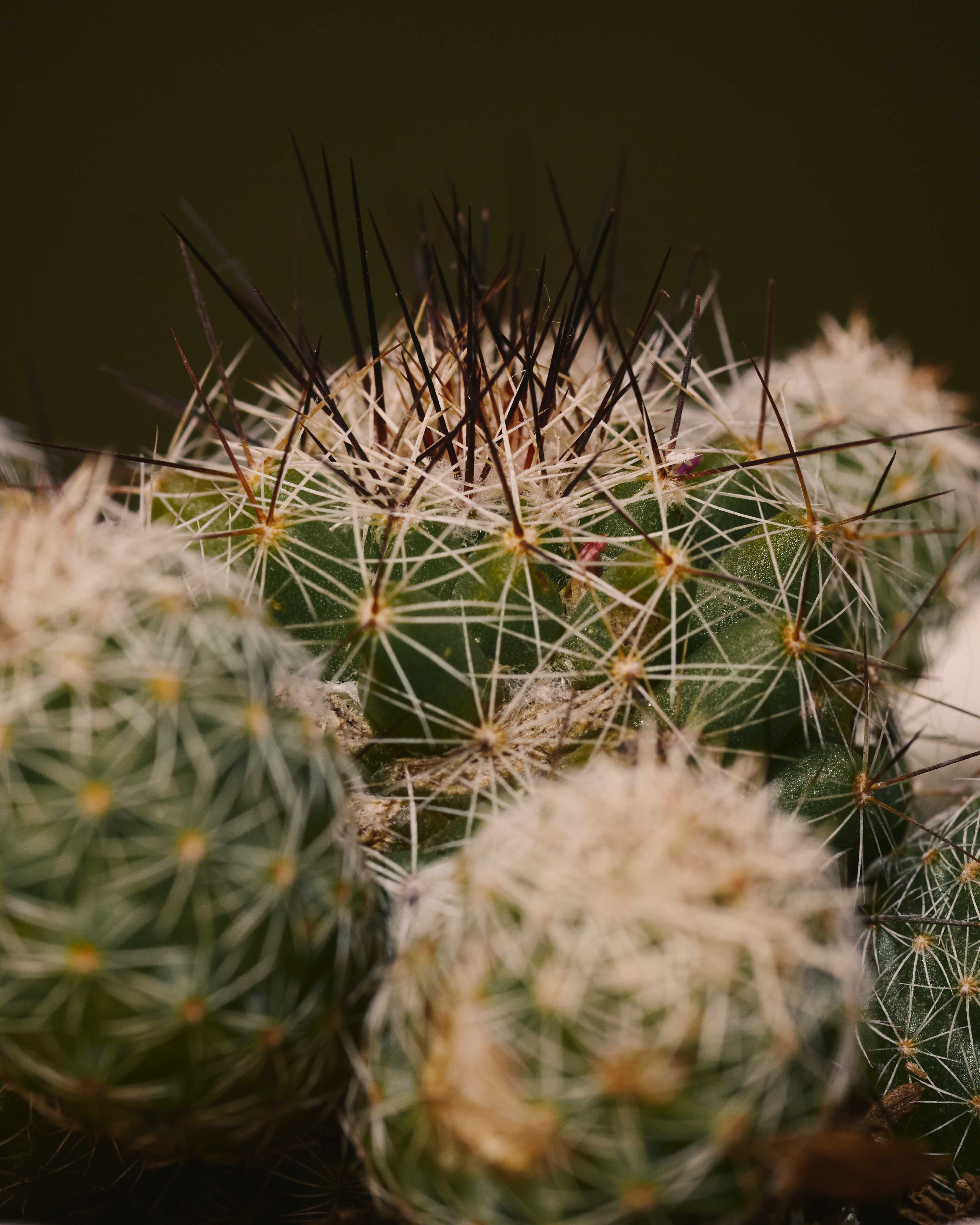 Arbor - 環境に良い、だからヒトに良い